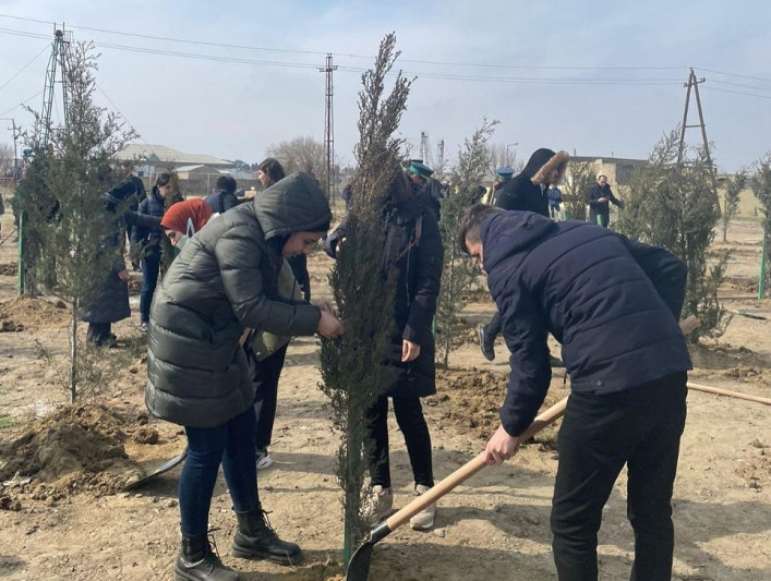 Balaxanı qəsəbəsi ərazisində ağacəkmə aksiyası keçirilib