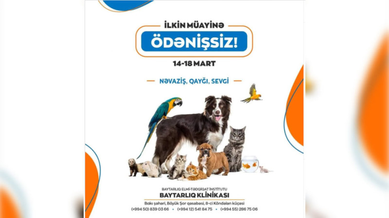 Bakıda heyvanlar pulsuz müayinə olunacaq