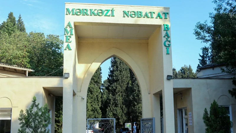 Nəbatat bağında bina hər an dağıla bilər
