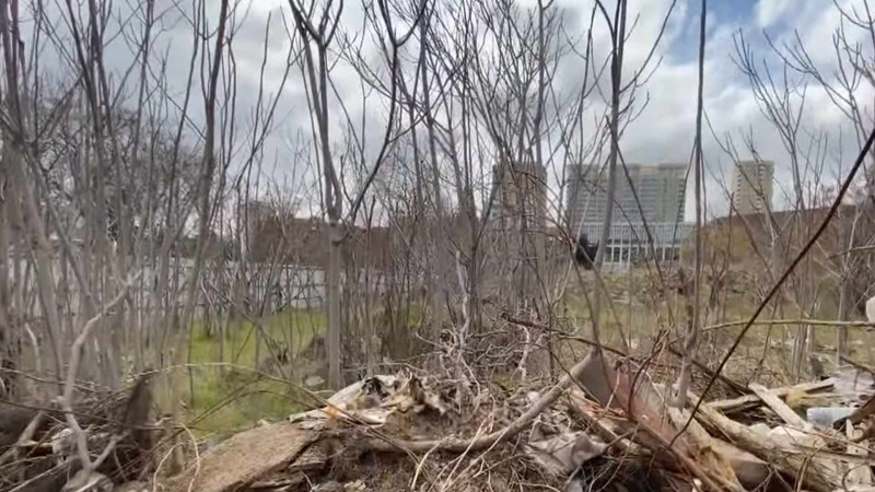 Bakıda 10 ildir hasarlanan ərazi baxımsız hala düşüb
