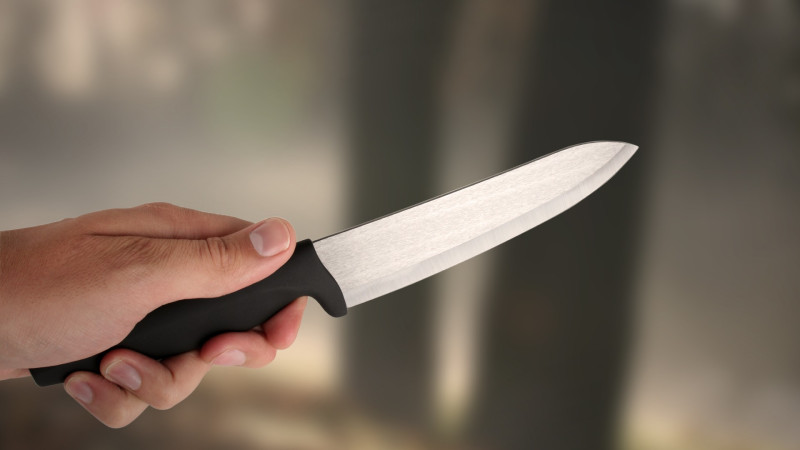 Goranboyda baş vermiş qətlin təfərrüatları məlum olub
