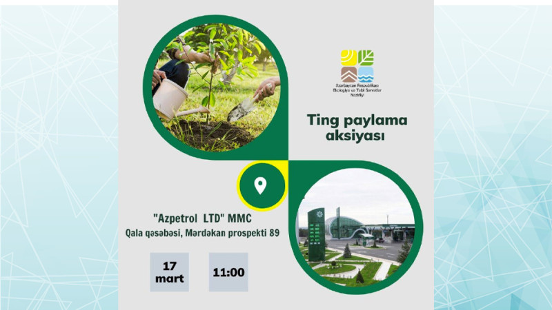 Xəzər rayonunda ting paylama aksiyası keçiriləcək