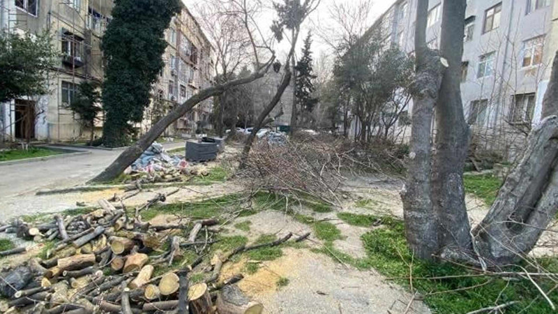 Nəsimi rayonunda abadlıq işləri davam edir