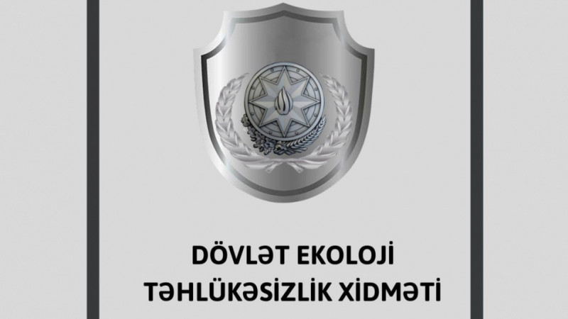 Nəsimi rayonunda ağacları zədələyən sakinə cərimə yazılıb