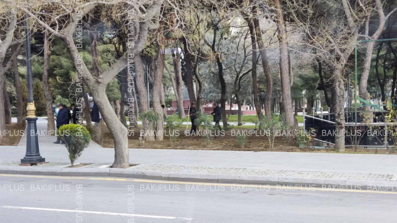 Paytaxtda yaşıllaşdırma işləri davam etdirilir