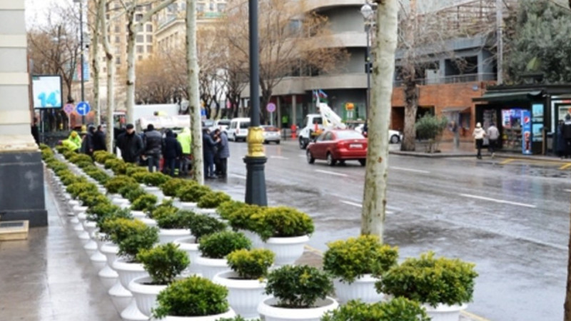 Novruz gəlir, yaz gəlir: bayram ərəfəsində Bakıda abadlıq işləri aparılır