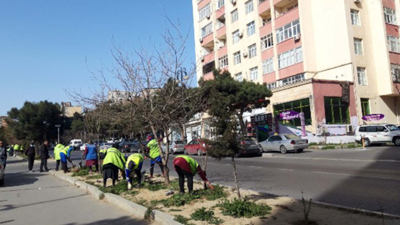 Bakının rayonlarında genişmiqyaslı abadlıq işləri aparılıb