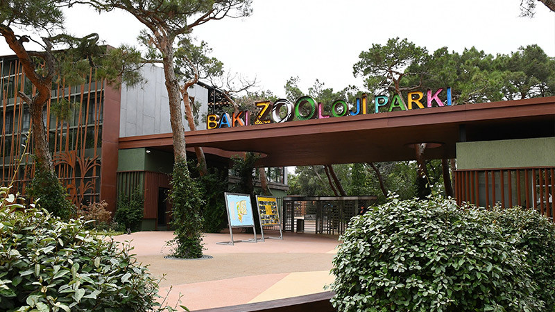 Bakı Zooparkında avtomobil park etmək müşkül məsələyə çevrilib
