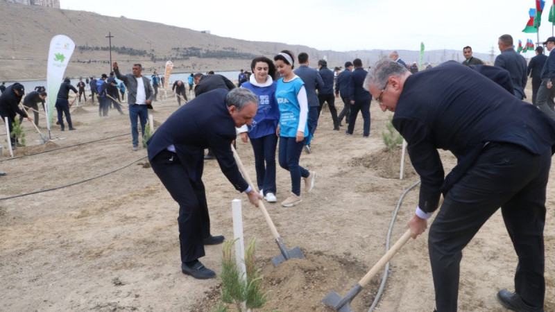 Bakıda Heydər Əliyevin anadan olmasının 99-cu ildönümü münasibətilə yaşıllaşdırma aksiyası baş tutub