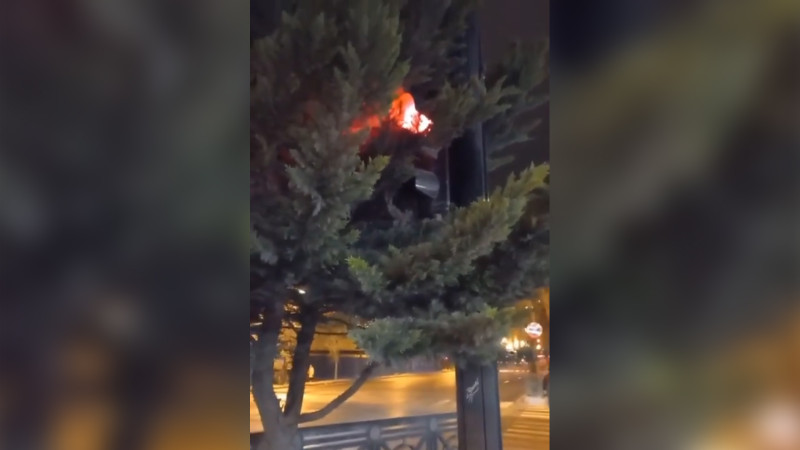 Azadlıq prospektində işıqfor ağacların arasında “gizlənib”