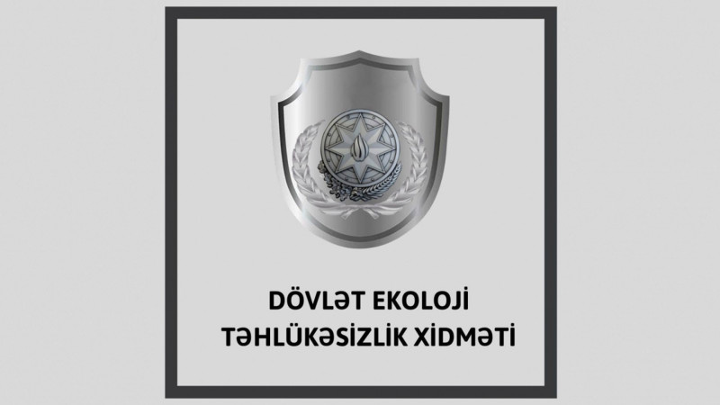Suraxanı: Qaraçuxur qəsəbəsində ağacları kəsən şirkət aşkarlanıb