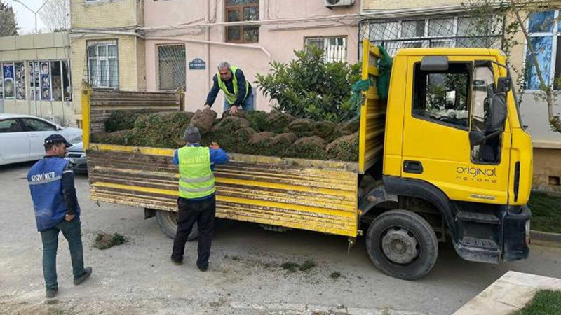 Nəsimi rayonunda məhəllədaxili yollarda asfalt örtüyü dəyişilir