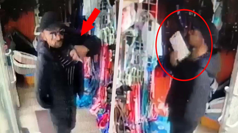 Bakıda zoomağazadan itlər üçün satılan aksesuarlar oğurlanıb