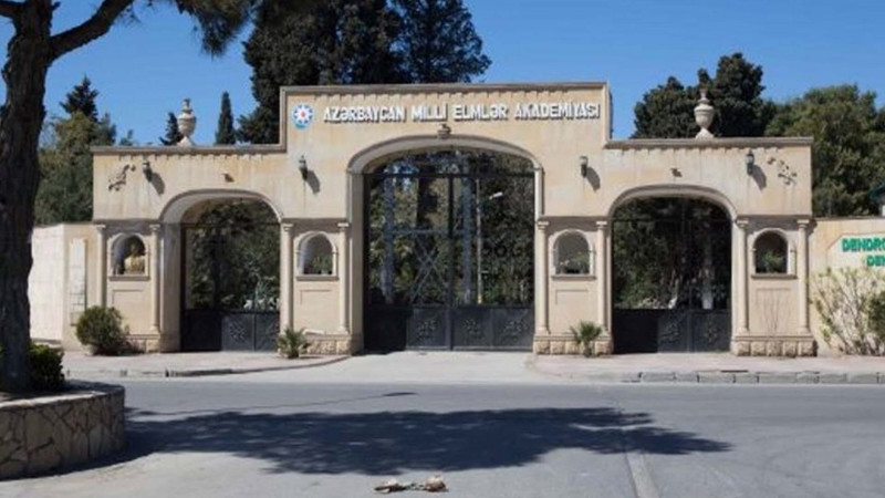 Mərdəkan: Dendrologiya İnstitutuna yeni rəhbər təyin olunub