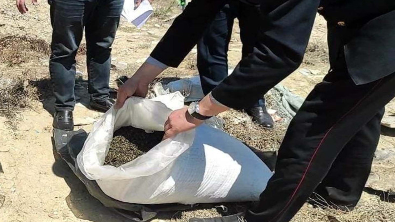 Qaradağ rayonunda 19 kiloqram marixuana aşkar olunub