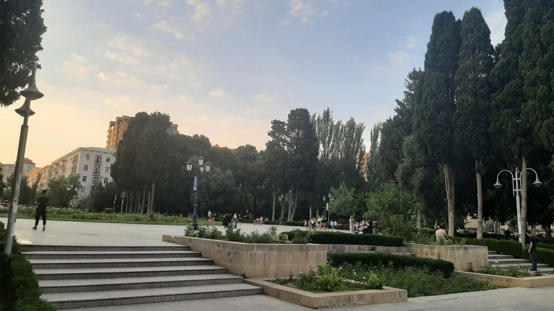 Səməd Vurğun parkında su yoxdur: yaşıllıqlar məhv olur