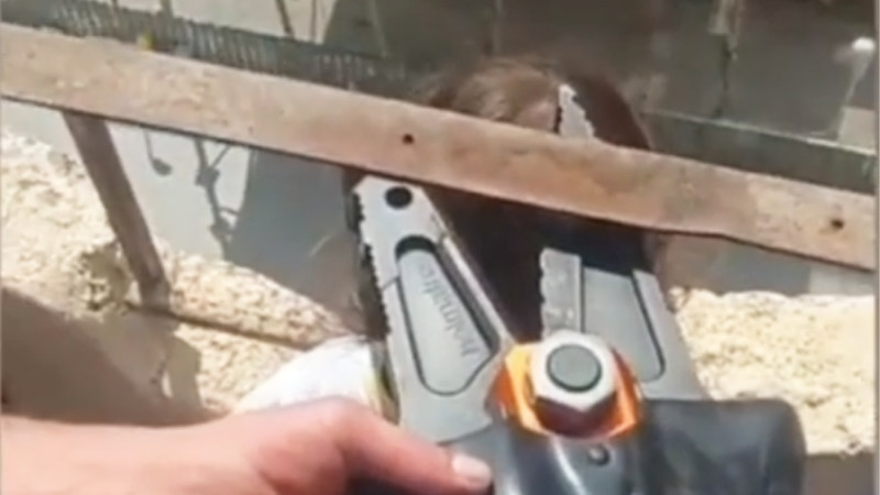 Bakıda azyaşlı uşağın başı dəmir barmaqlıqlar arasında ilişib
