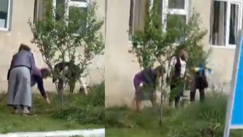 Bakıda məktəb direktoru xadimələrlə birgə məktəbin həyətini təmizləyib