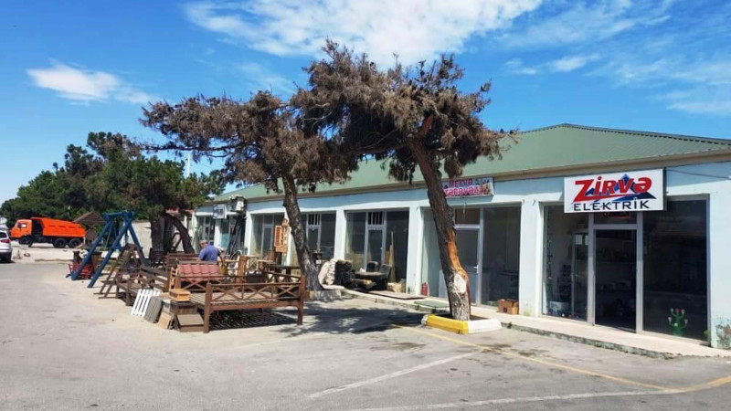 Ticarət obyektlərinin yaxınlığındakı ağacların qurudulmasının qarşısı alınıb