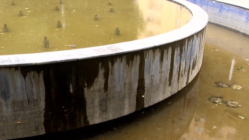 Paytaxtın bəzi fəvvarələri acınacaqlı vəziyyətdədir