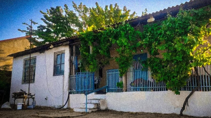 Abşeron bağları - zamanla bağın siması necə dəyişib