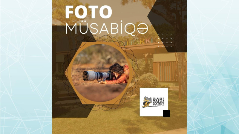 Bakı Zooparkında fotoqraflar arasında müsabiqə keçiriləcək