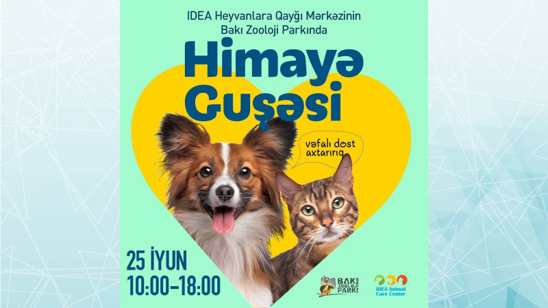 Heyvanları himayəyə götürmək istəyənlərin nəzərinə: Bakı zooparkında sahibsiz ev heyvanları sərgilənəcək