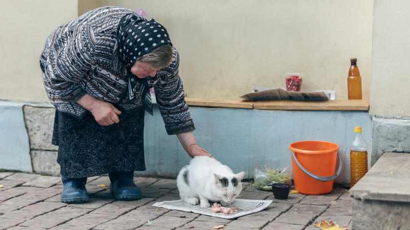 Bakıda yaşlı qadını döyüb, daha sonra 100 manatını əlindən alan şəxsə hökm oxunub
