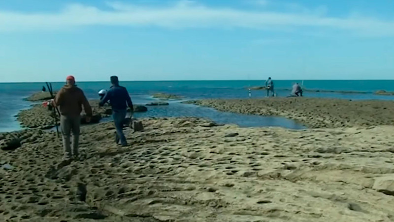Buzovna qəsəbəsində qayalar zəbt olunaraq dağıdılır: sakinlər İlham Əliyevə müraciət ediblər