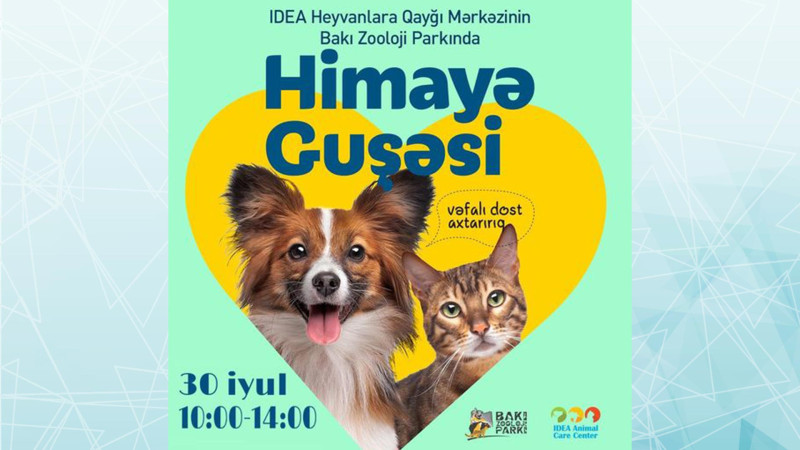 Bakı Zooparkında növbəti dəfə “Himayə güşəsi” fəaliyyət göstərəcək