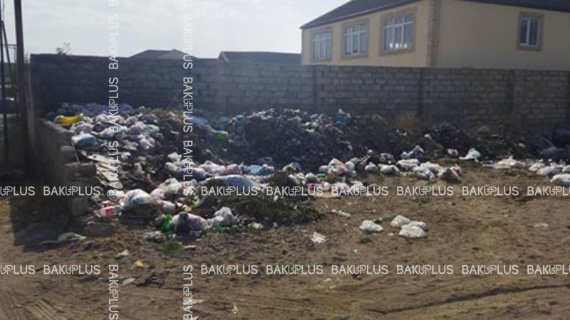 Şüvəlan qəsəbəsində zibil qutularına “göz dəyib”