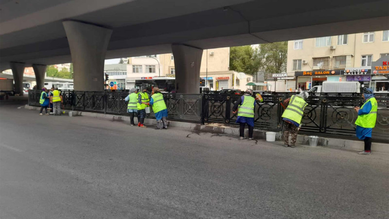 Nəsimi rayonunda iməcilik keçirilib