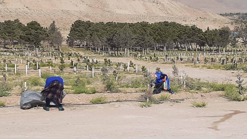 Binəqədi rayonunda iməcilik keçirilir