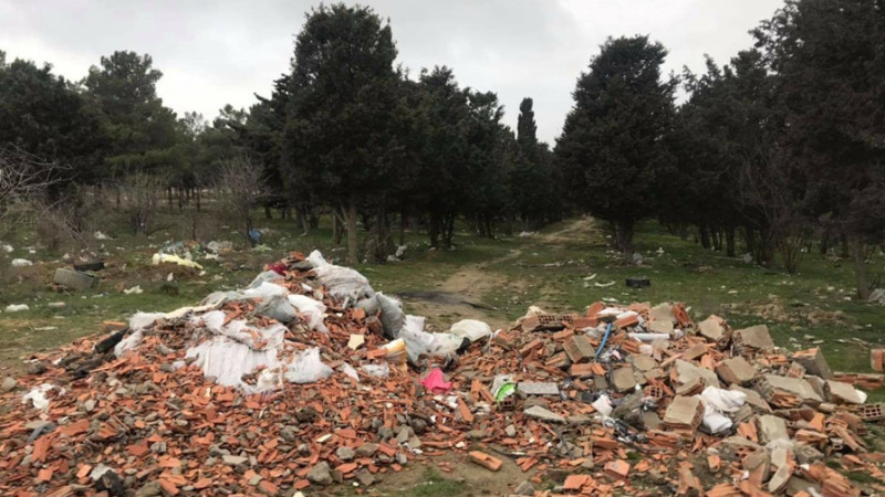 Yasamalda sakinlər meşə zolağının bərpası və orada parkın salınması ilə bağlı müraciət ediblər