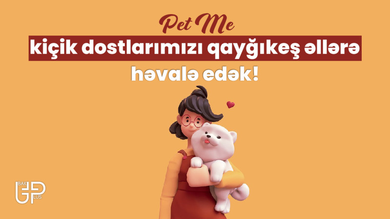 “PetMe” - Bakıda evsiz heyvanlara kömək etmək üçün ilk tətbiq