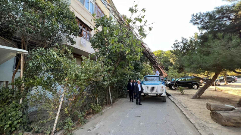 Mir Cəlal küçəsində abadlıq işləri aparılır