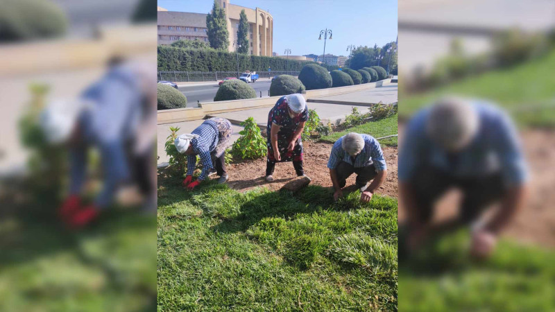 Bakının bu parkında yeni qazon örtüyü salınıb