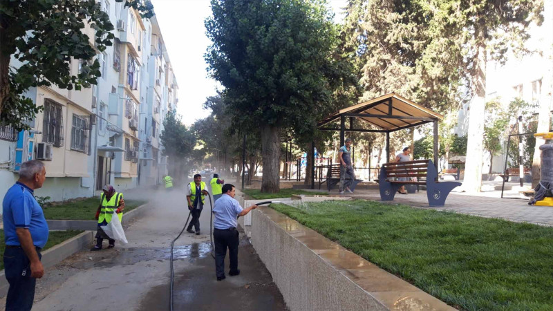 Nəsimi rayonunda iməcilik keçirilib
