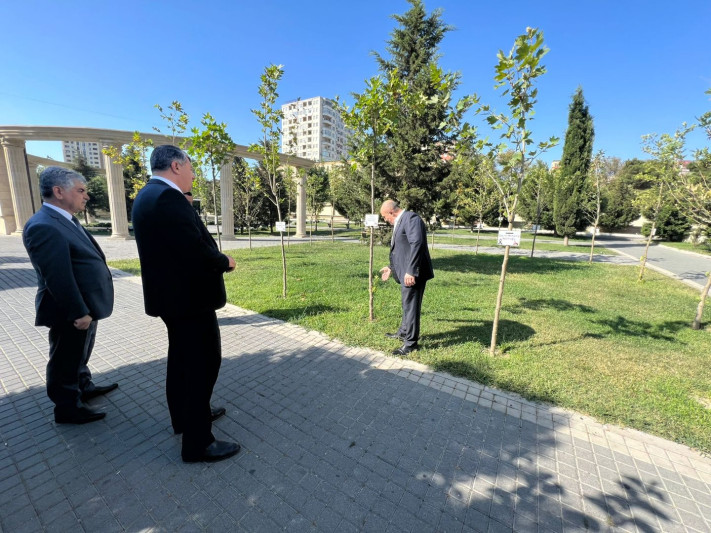 Nəsimidə Vətən müharibəsi şəhidlərinin əziz xatirəsinə yaradılan Zəfər bağına baxış keçirilib