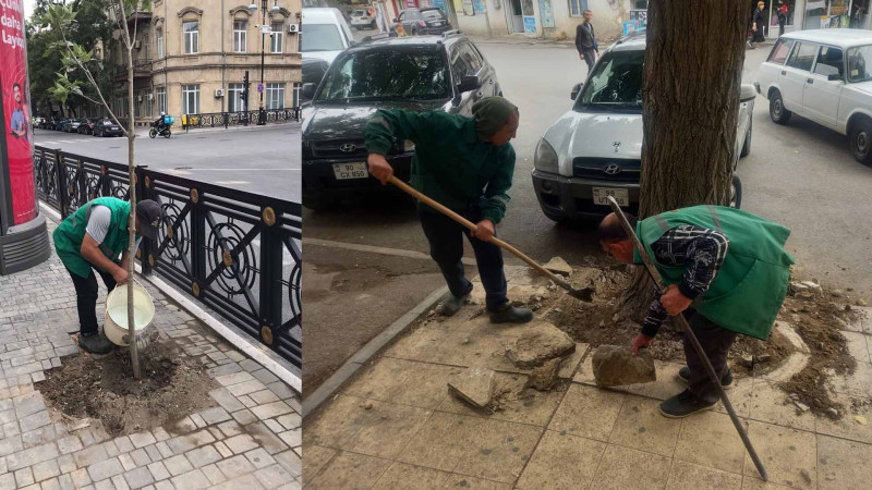 Bakıda qanunsuz hasarlar sökülüb