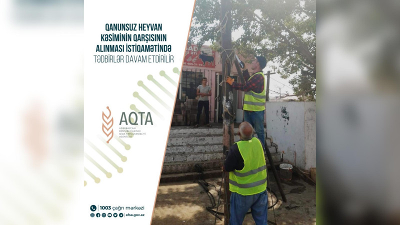 Qaradağ rayonunda daha 6 qanunsuz ət kəsimi məntəqəsi aşkarlanıb
