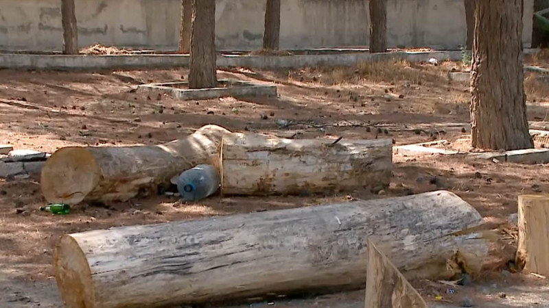 Xətai: Nəsrəddin Tusi küçəsində yaşıllıq ərazinin parklanma yeri üçün məhv edildiyi iddia olunur