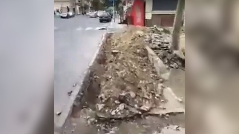 Binəqədi: Əcəmi Naxçıvani küçəsində 1 gecədə 8 ağac kəsilib