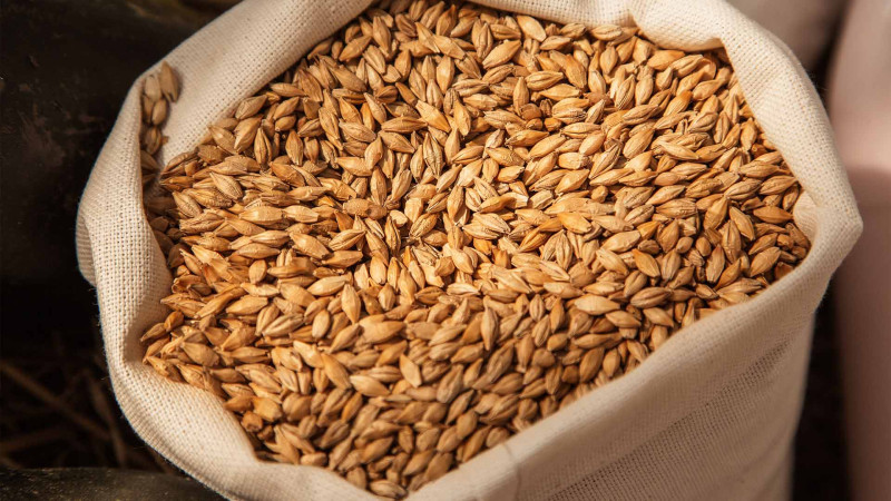 Xəzər rayonunda fermadan arpa ilə dibçəklər oğurlanıb