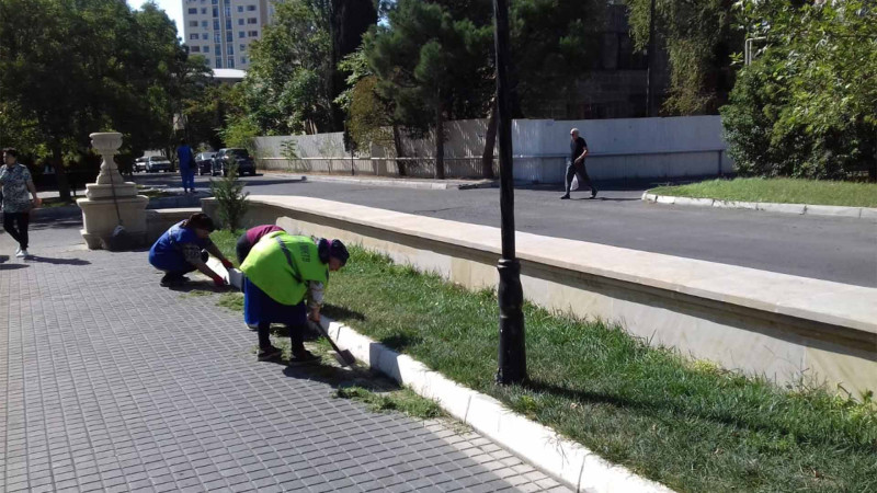 Nəsimi rayonunda iməcilik keçirilir