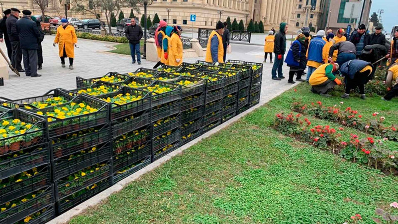 Bakıda yaşıllaşdırmaya 3 milyon AZN-ə yaxın vəsait ayrılacaq