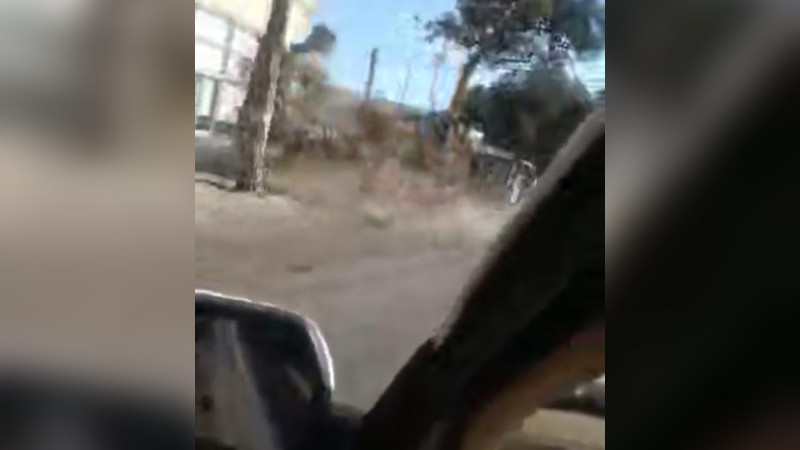 Xəzər rayonu: “Rahat” marketin yaxınlığında 9 ədəd şam ağacı kəsilib