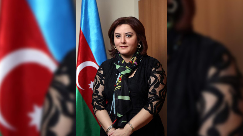 Bakı şəhəri 45 nömrəli tam orta məktəbin direktoru Nəcibə Axundovaya şiddətli töhmət verilib