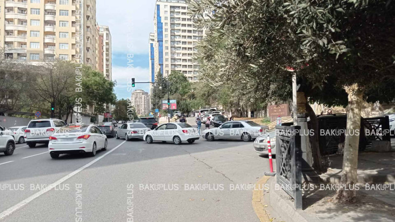 Bakıda ağacın budaqları arasında “gizlənən” yol nişanı sürücülərin cərimələnməsinə səbəb olur