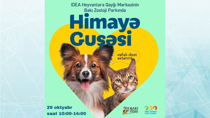 Bakı Zooparkında növbəti “Himayə güşəsi” fəaliyyət göstərəcək